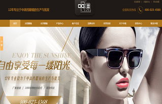 广州中视眼镜营销型网站建设案例 构建线上视力健康门户，驱动眼镜销售增长